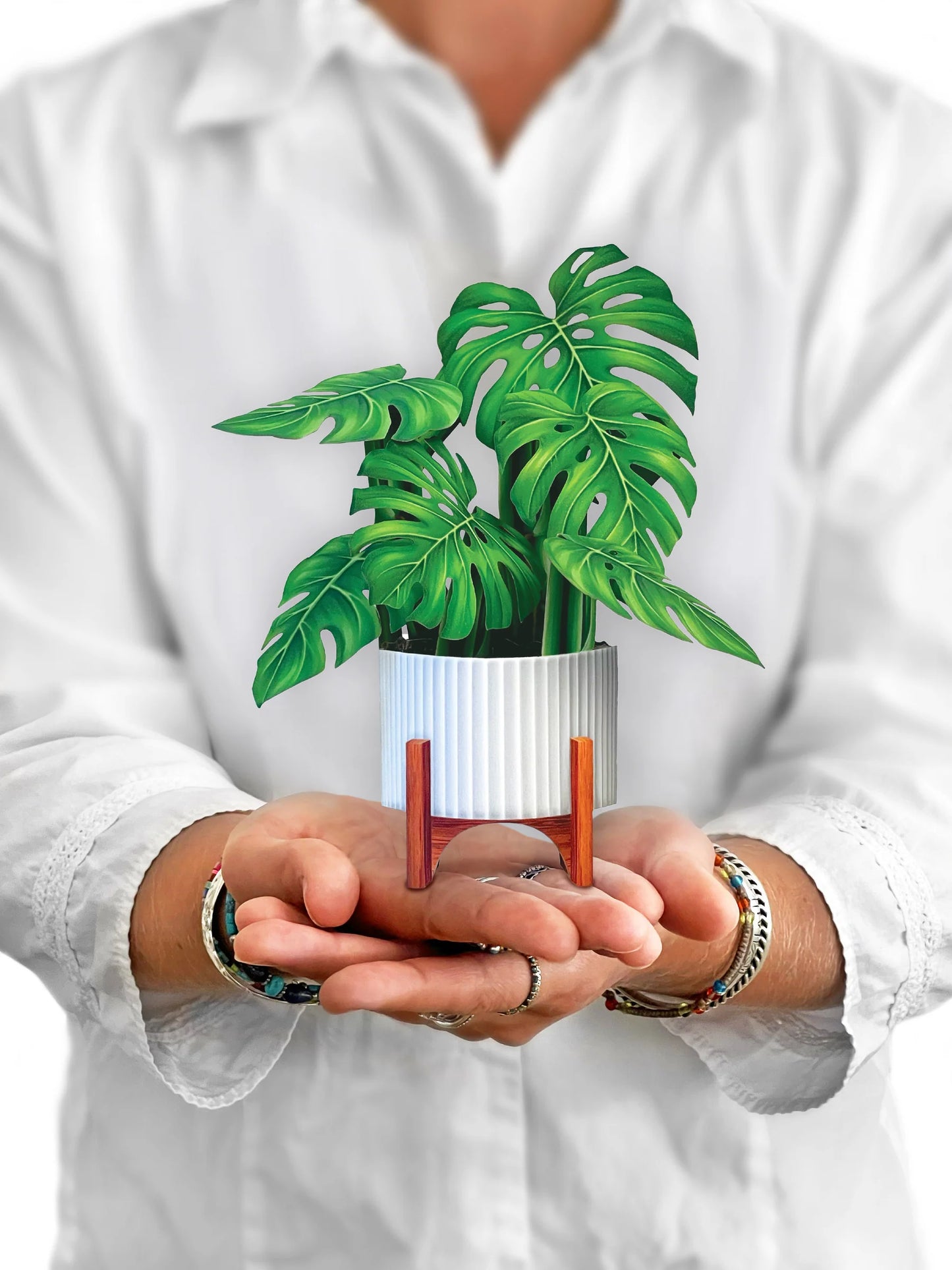 FreshCut Paper Pop Up Mini Monstera