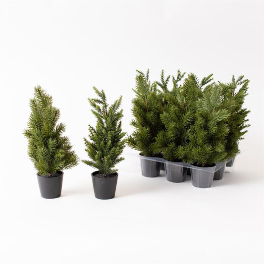 Mini Pine Tree