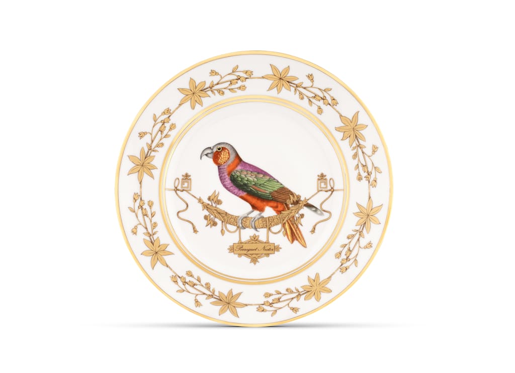 Voliere Perroquet Nestor Flat Plate | Ginori 1735