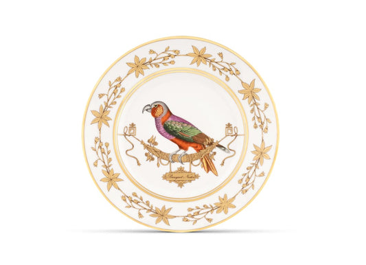 Voliere Perroquet Nestor Flat Plate | Ginori 1735