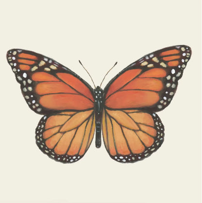 Butterfly Cocktail Napkin, Pack of 20