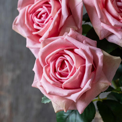 Peach Rose, Real Touch Artificial