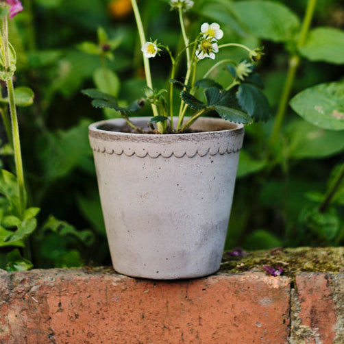 Berg's Potter GREY Helena Pot