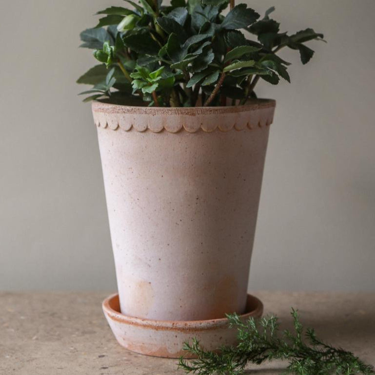 Berg's Potter Raw Rosa TALL Helena Pot
