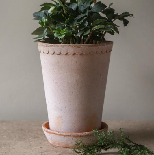 Berg's Potter Raw Rosa TALL Helena Pot