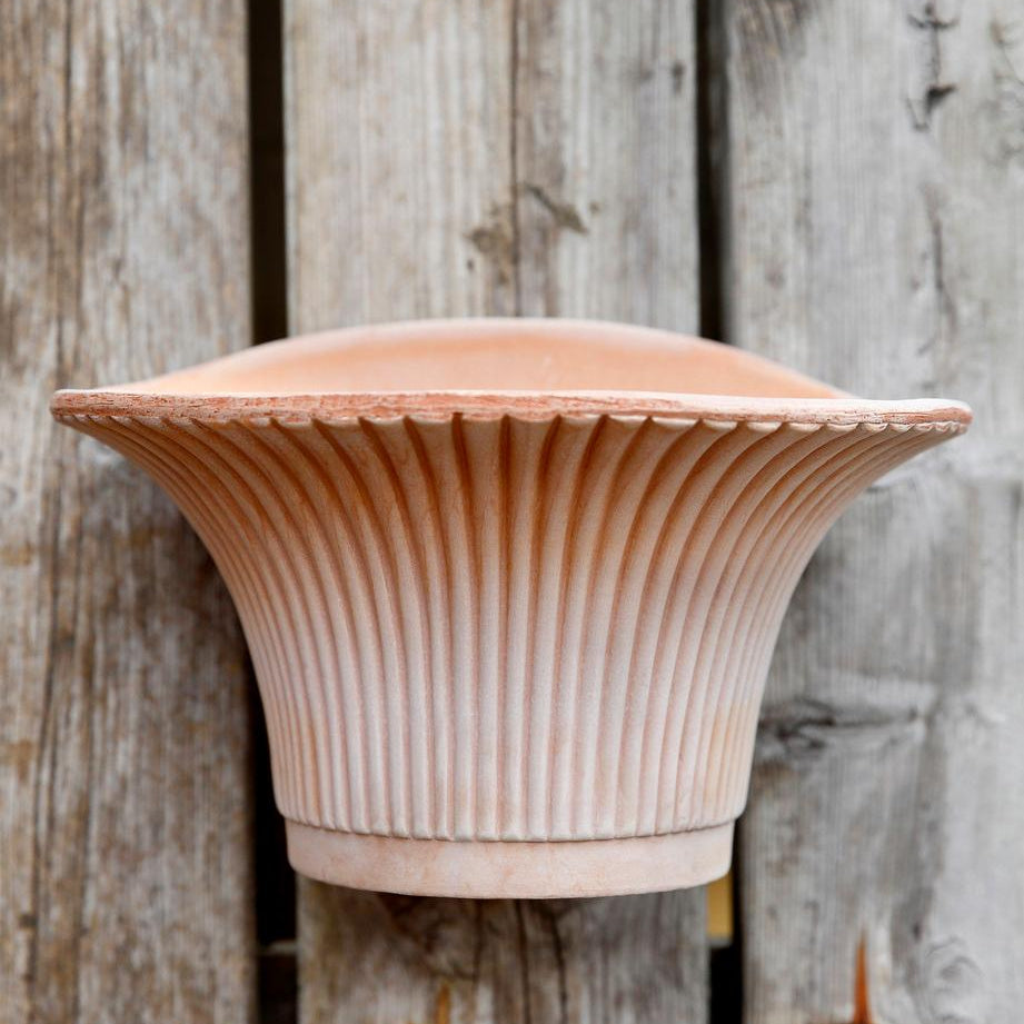 Berg's Potter Raw Rosa Daisy Wall Pot