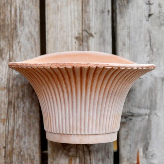 Berg's Potter Raw Rosa Daisy Wall Pot