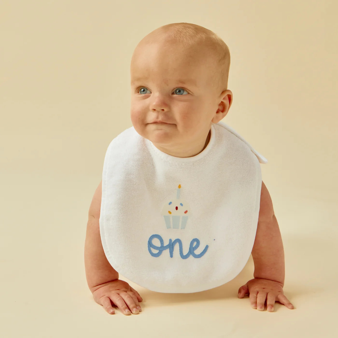 Birthday Baby Bib