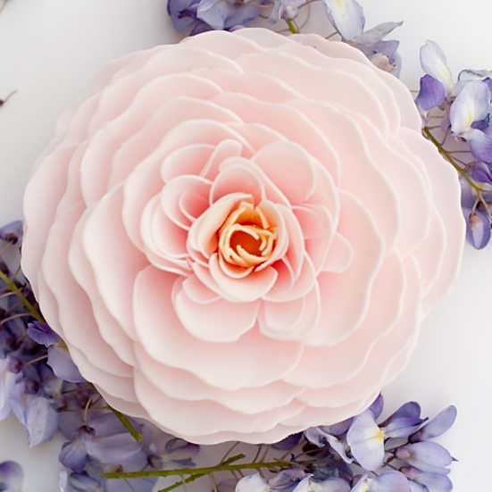 Cherry Blossom - A'marie's