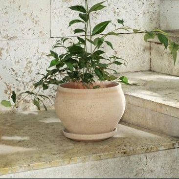 Berg's Potter ROSA Delphi Pot