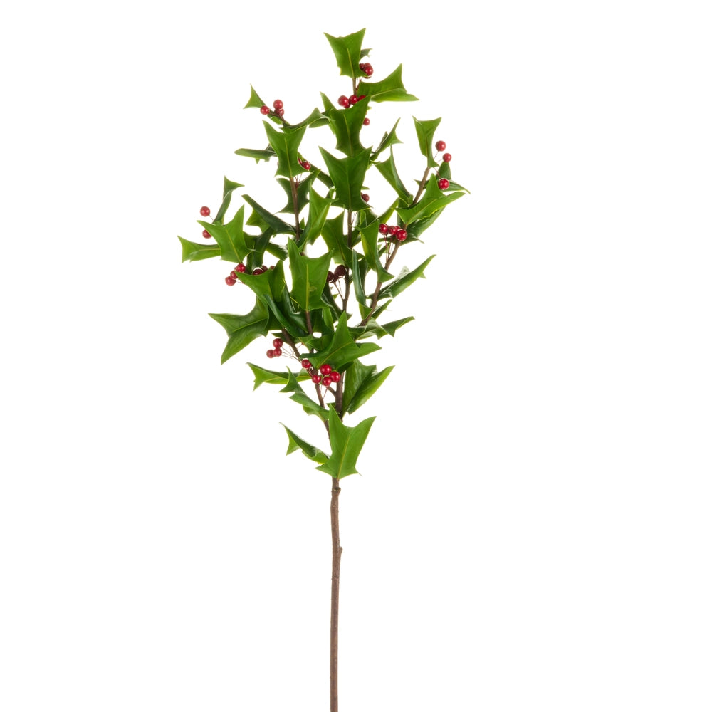 40" Holly Branch