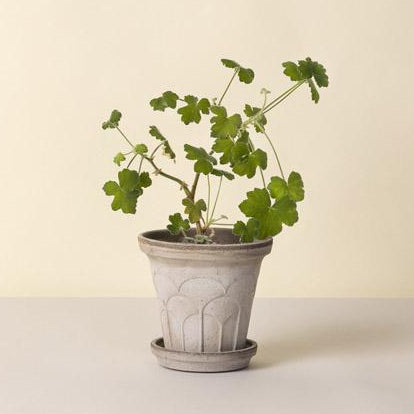 Berg's Potter GREY Fleur Pot