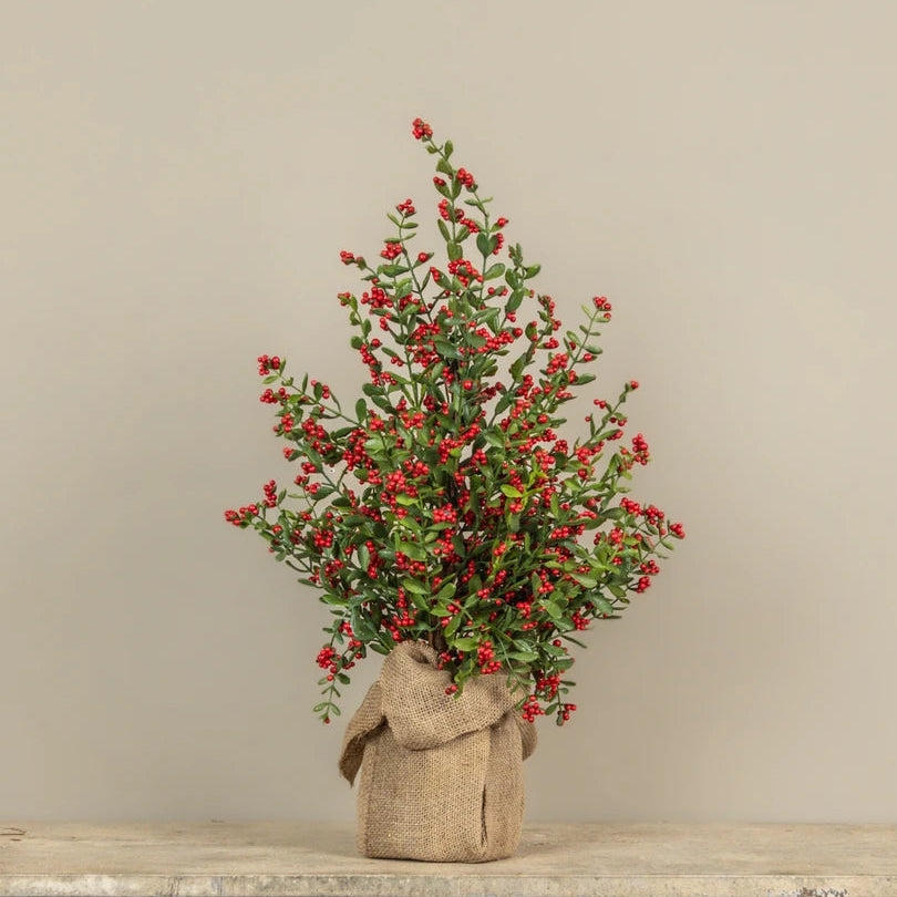 28" Ruscus & Berry Tree