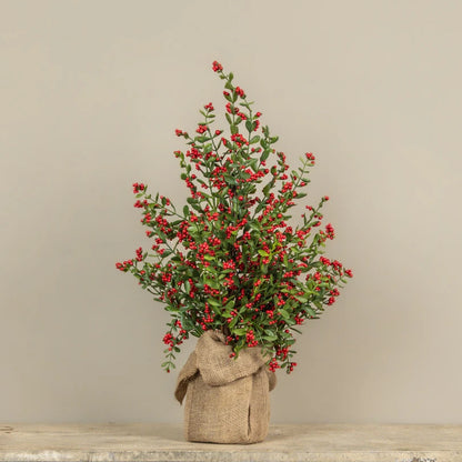 28" Ruscus & Berry Tree