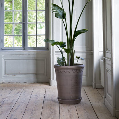 Berg's Potter Large Københavner in RAW Grey