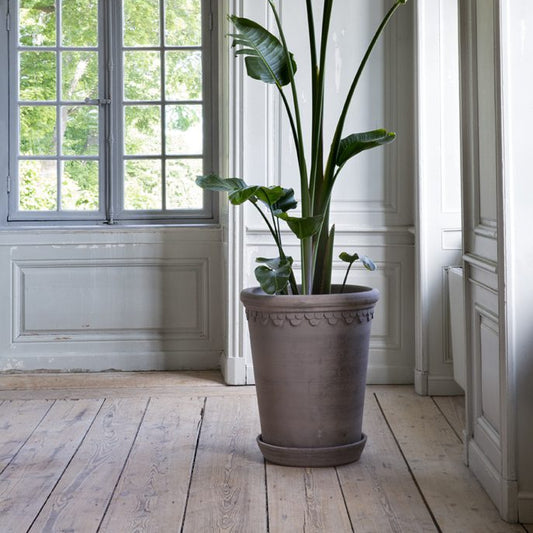 Berg's Potter Large Københavner in RAW Grey