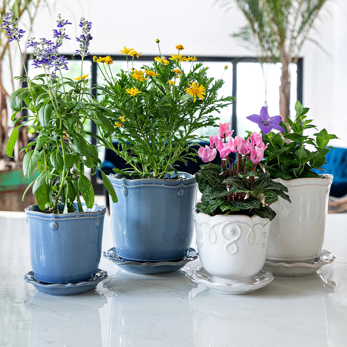 Juliska Berry & Thread Whitewash 7" Planter & Saucer