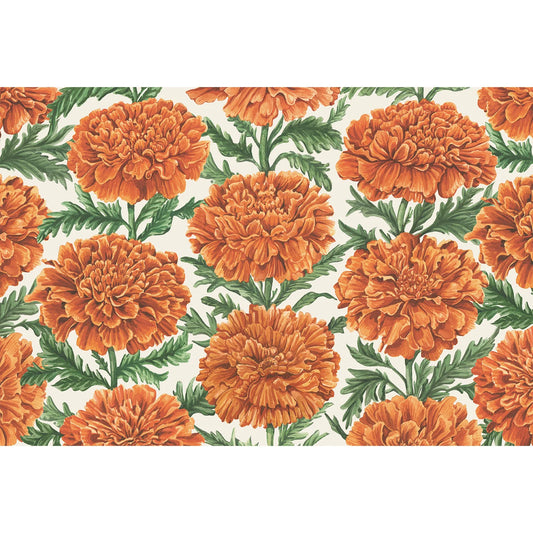Hester and Cook Marigold  Harvest