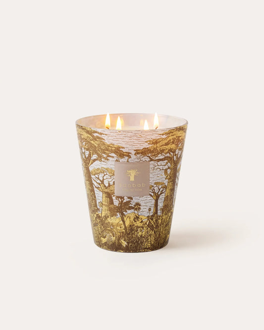 Sacred Trees Bounkani Scented Candle | Baobab Collection