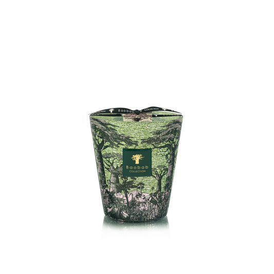 Sacred Trees Touba Scented Candle | Baobab Collection