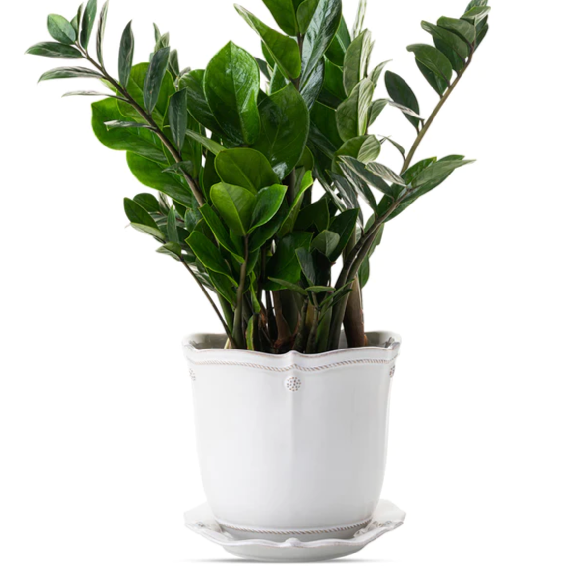 Juliska Berry & Thread Whitewash 7" Planter & Saucer