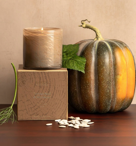 Pumpkin Seed & Sandalwood 15.5 oz. Candle, LAFCO