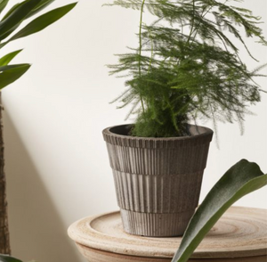 Atlas RAW Grey Pot, Berg's Potter