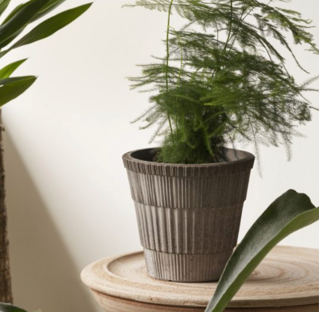 Atlas RAW Grey Pot, Berg's Potter