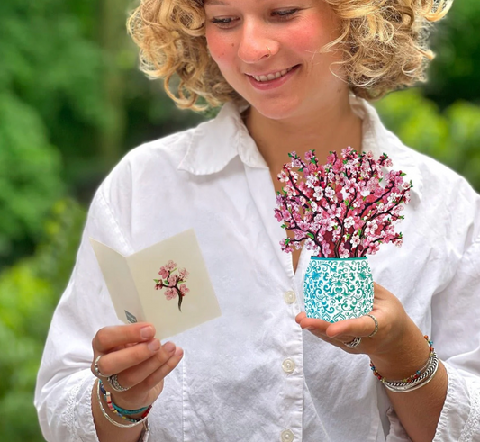 FreshCut Paper Japanese Cherry Blossom Pop Up Bouquet