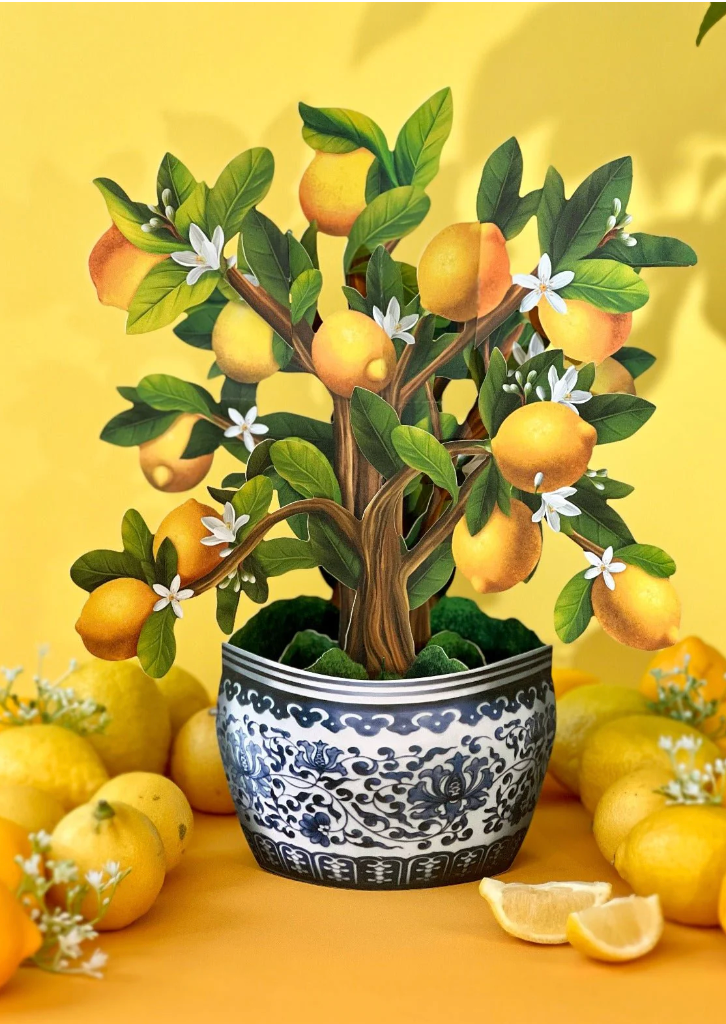 FreshCut Paper Lemon Blossom Pop Up Bouquet