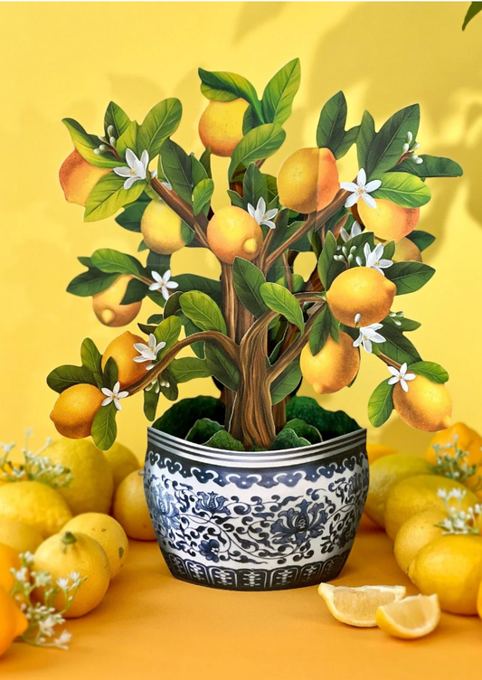 FreshCut Paper Lemon Blossom Pop Up Bouquet