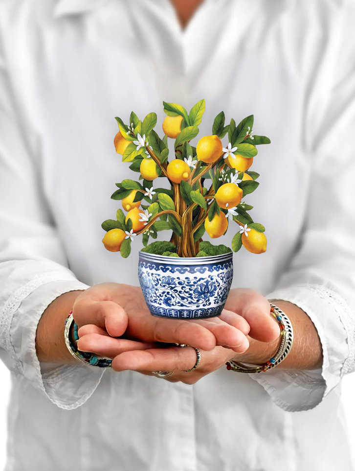 FreshCut Paper Lemon Blossom Pop Up Bouquet