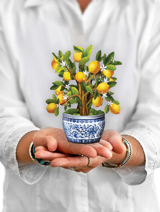 FreshCut Paper Lemon Blossom Pop Up Bouquet