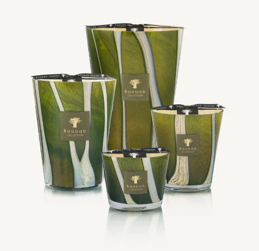 Scented Candle Woods Sherwood | Baobab Collection