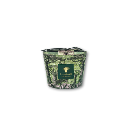 Sacred Trees Touba Scented Candle | Baobab Collection
