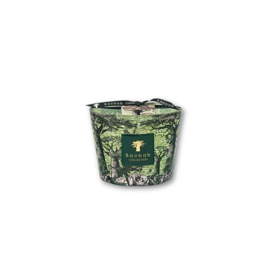 Sacred Trees Touba Scented Candle | Baobab Collection