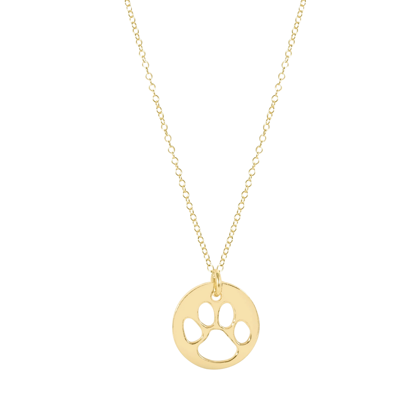 enewton 16" Necklace Gold Paw Print Gold Disc