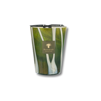 Woods Sherwood Scented Candle | Baobab Collection