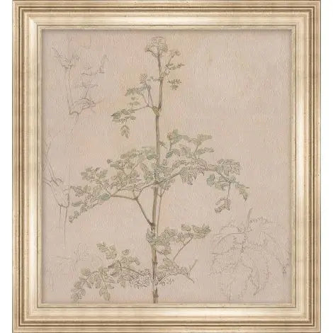 Parsley Sprig