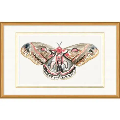 Wings of Color 2