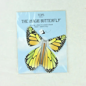 Flying Magic Butterfly Rainbow Assortment