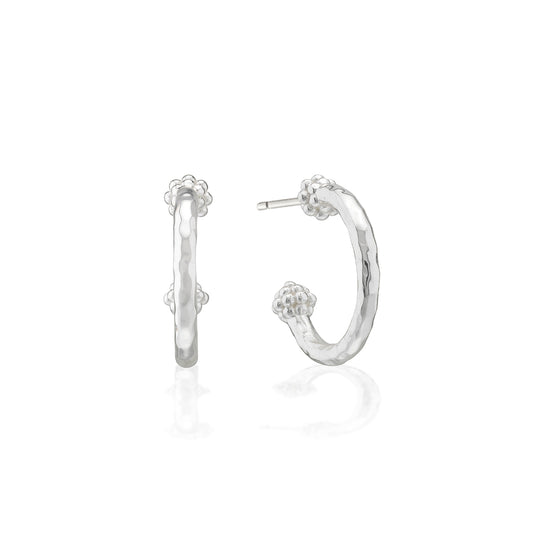 Berry Slice Small Hoop Earrings in Silver, Capucine de Wulf