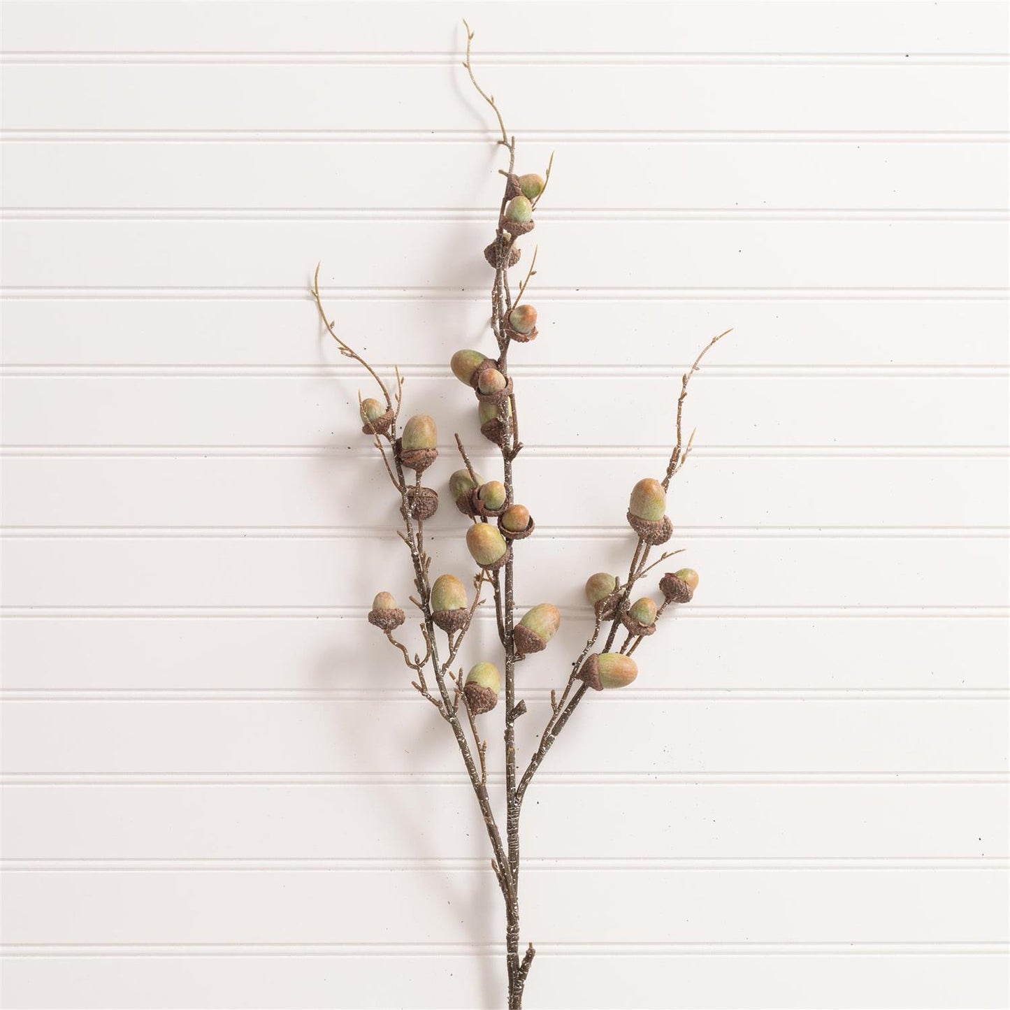 Green Acorn Spray