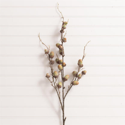 Green Acorn Spray