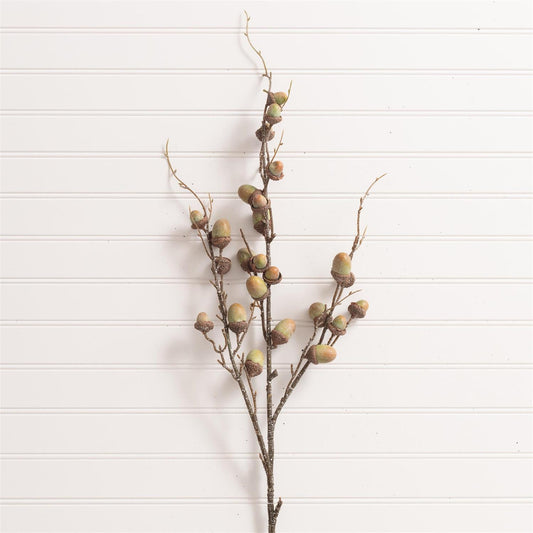 Green Acorn Spray