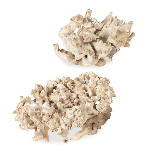 Elemental Root Indoor-Outdoor Sculptures, Set of 2