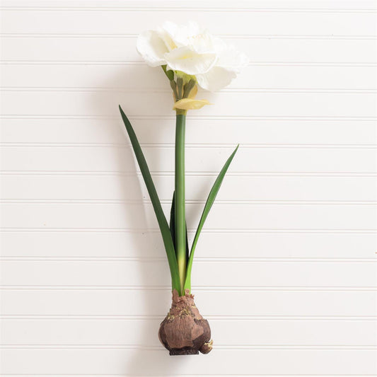 Faux Amaryllis Bulb