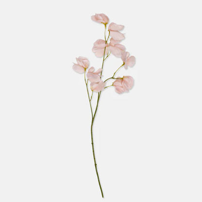 Sweet Pea, Artificial