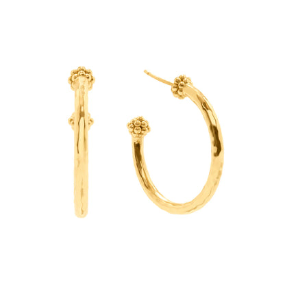 Berry Medium Hoop Earrings in Gold, Capucine de Wulf