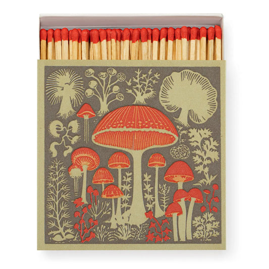 Mushrooms Matchbox